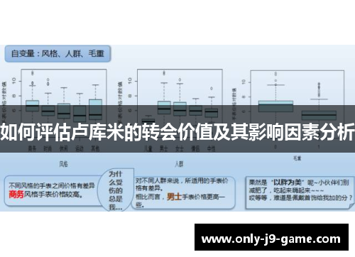 如何评估卢库米的转会价值及其影响因素分析