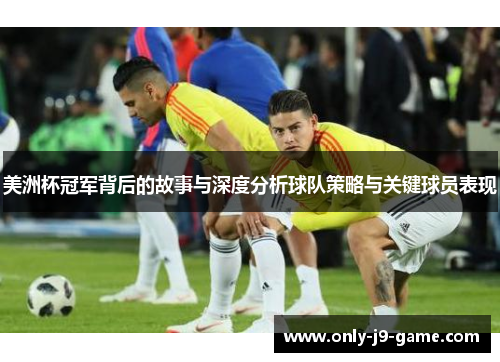 美洲杯冠军背后的故事与深度分析球队策略与关键球员表现